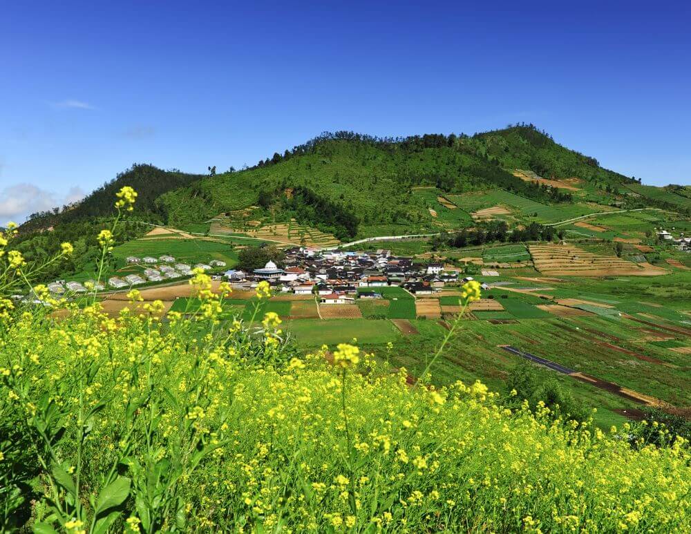 Paket wisata Dieng dari Cirebon