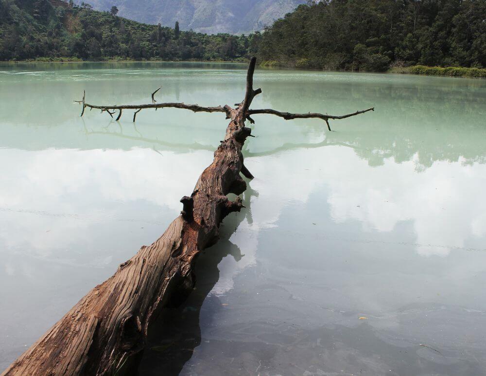Trip Dieng 1 Hari dari Purwokerto