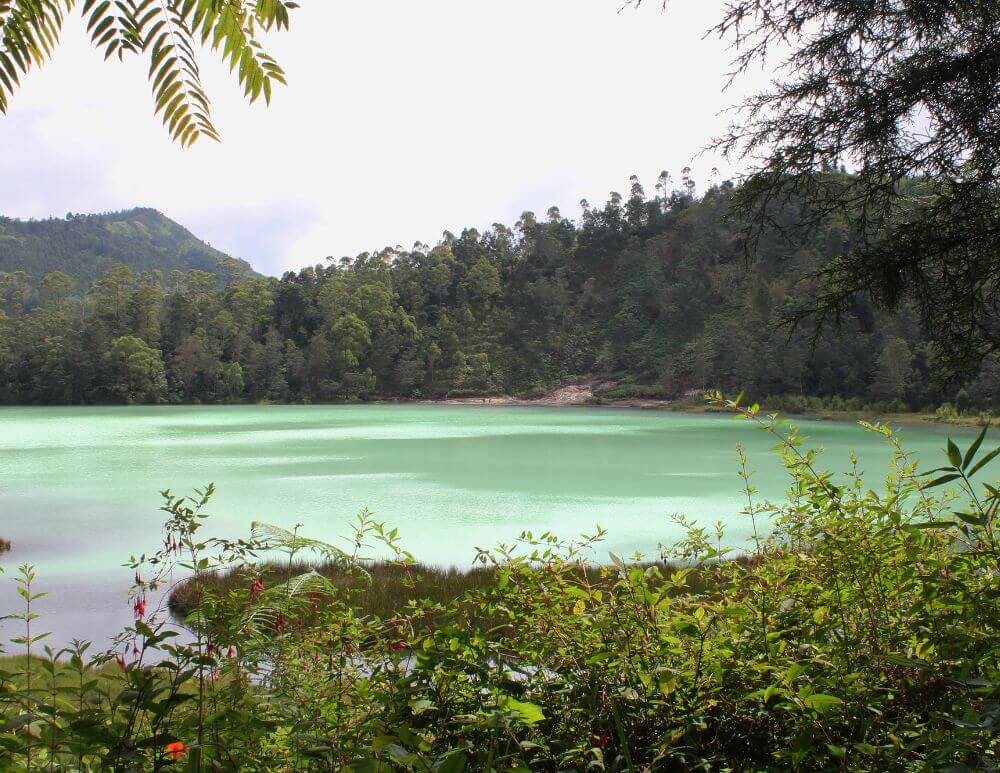 Trip Dieng 1 Hari dari Jogja